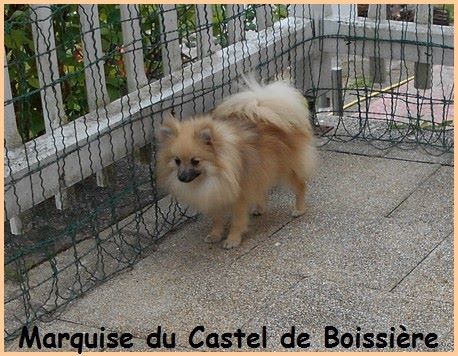 Marquise du Castel de Boissière