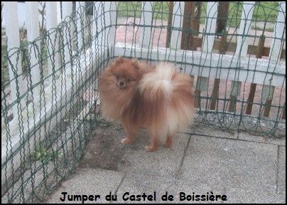 Jumper du Castel de Boissière